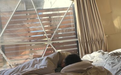 2026年もよろしくお願いします